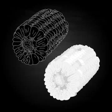 Corn on the cob kernels isolated Stock Illustration