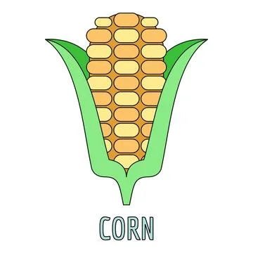 Corn cob maize vegetable flat design line icon Stock Illustration