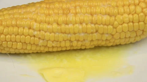 Corn Cob With Melted Butter Stock Footage 55186628