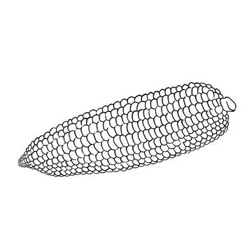 Corn on the Cob Outline Illustration Stock Illustration