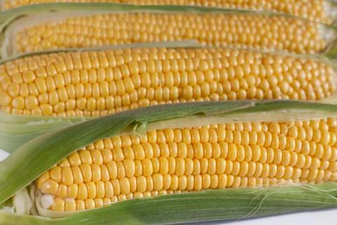 Corn on the Cob Stock Photos