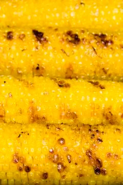 Corn on the cob Stock Photos
