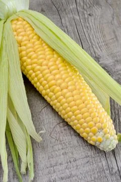 Corn cob Stock Photos