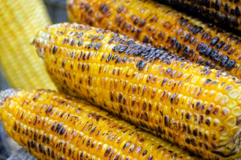 Corn cob Stock Photos