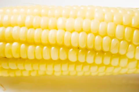 Corn cob Foto stock
