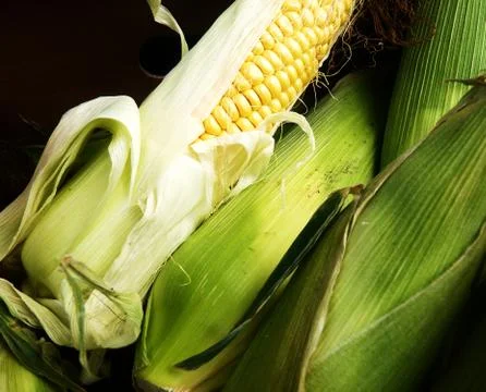 Corn on the cob Stock Photos