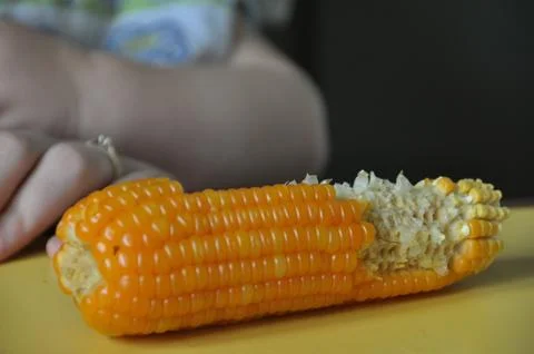 Corn on the Cob Stock Photos