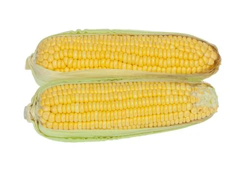 Corn cob Foto stock