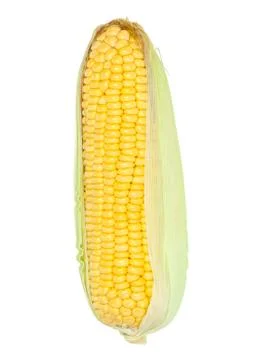 Corn cob Stock Photos
