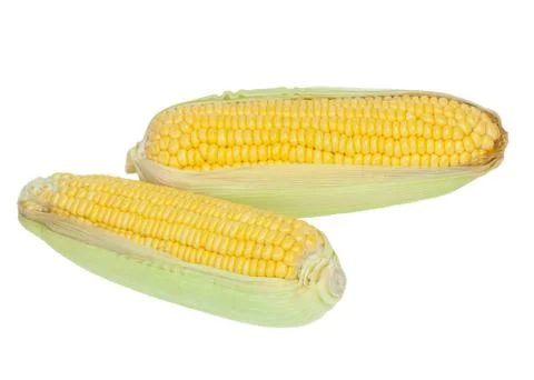 Corn cob Foto stock