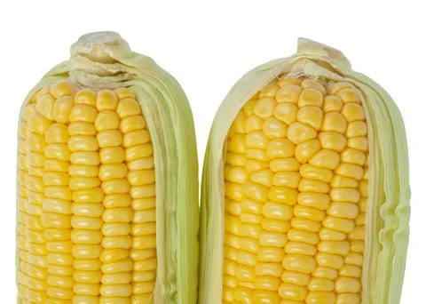 Corn cob Stock-Fotos