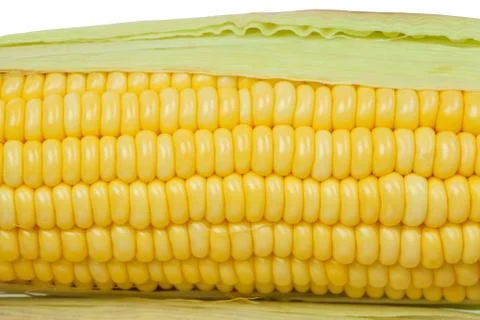 Corn cob Foto stock