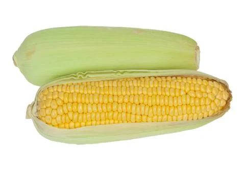Corn cob Stock Photos