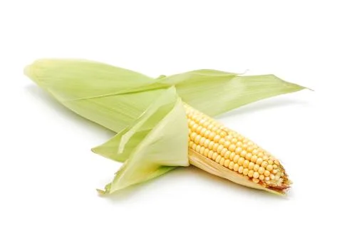 Corn cob Stock Photos