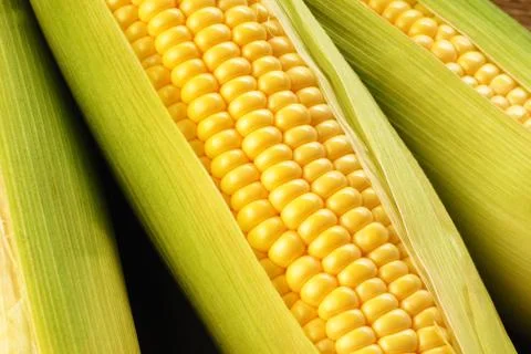 Corn cob Stock Photos