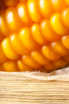 Corn on the cob. Stock Photos