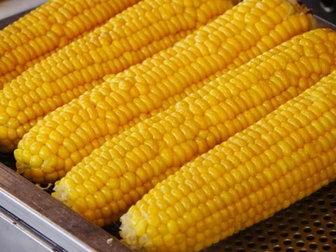 Corn of the cob Stock Photos