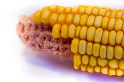 Corn cob Stock Photos
