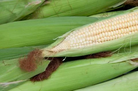 Corn On The Cob Stock Photos