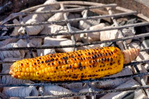 Corn of the cob Stock Photos