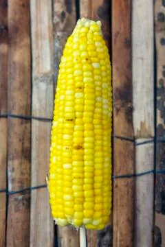 Corn on the cob Stock Photos