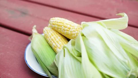 Corn on the cob on red picnic table Stock Photos