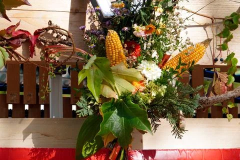 Corn cob with red roses and green foliage Stock Photos