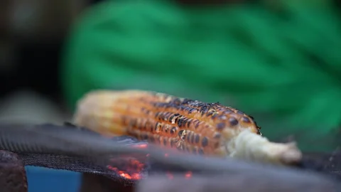 Corn Cob Roasting On Hot Coals, Indian Street Food Snack Stock Footage 341165584