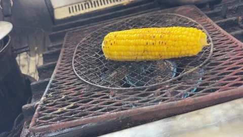 Corn on the cob roasting on a wire grill, kernels charring, Japan Stock Footage 343078137