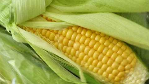 Corn on the cob rotating Stock Footage 248596638