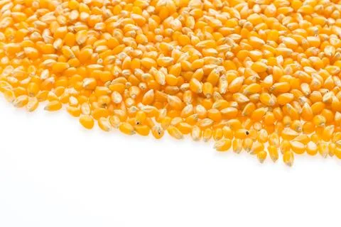 Corn cob seed Stock Photos