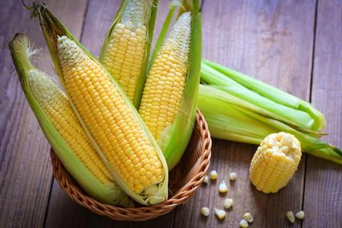 Corn on the cob, Sweet corn for cooking food, Fresh corn on wooden background Stock-Fotos