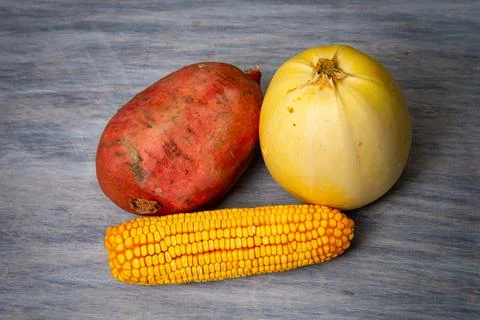 Corn on cob on table with fall season leaves wooden Stock Photos