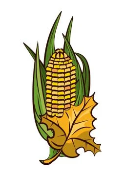 Corn cob vegetable and leafs thanksgiving icon イラスト素材