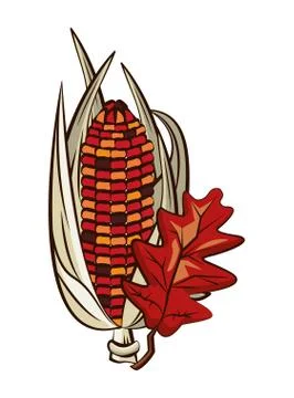 Corn cob vegetable and leafs thanksgiving icon イラスト素材