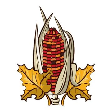 Corn cob vegetable and leafs thanksgiving icon イラスト素材