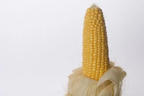 Corn on the cob on white background Stock Photos