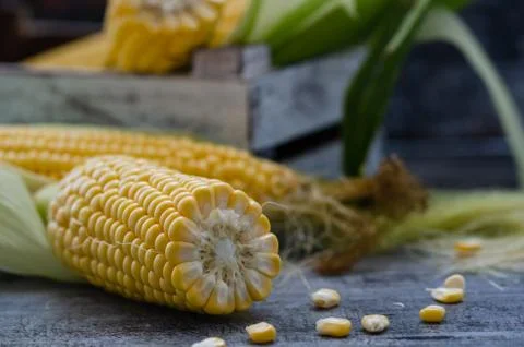 Corn on the cob in wooden table. Stock Photos