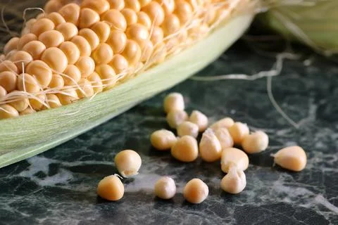 Corn cob young macro Stock Photos