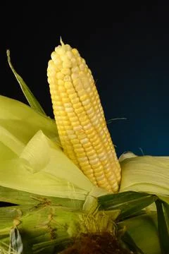 Corn On The Cobb Stock Photos