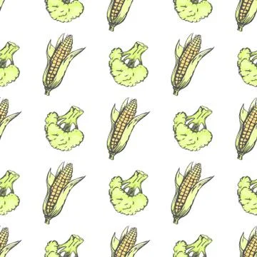 Corn Cobs and Broccoli on White Wrapping Paper Stock Illustration