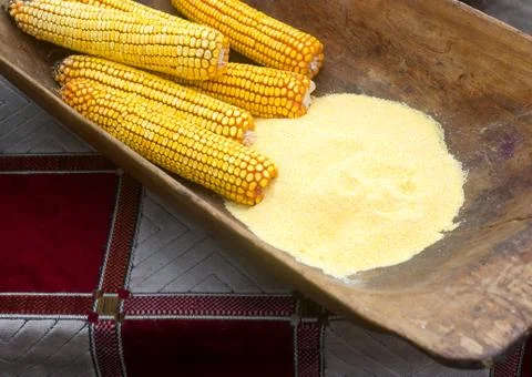 Corn cobs and corn flour in a wooden trough, presented at an agricultural exh Stock Photos
