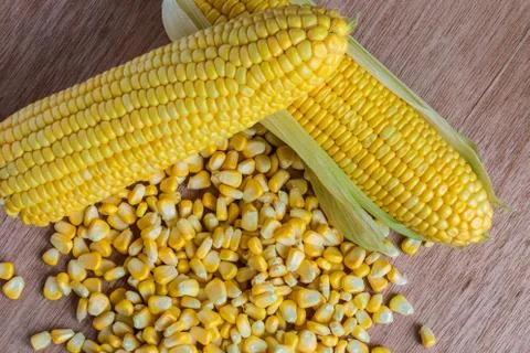 Corn cobs and corn grains on wood background Stock Photos