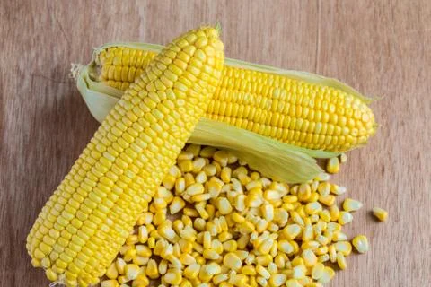 Corn cobs and corn grains on wood background Stock Photos