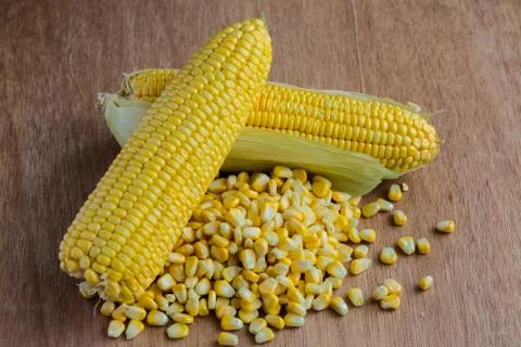 Corn cobs and corn grains on wood background Stock Photos