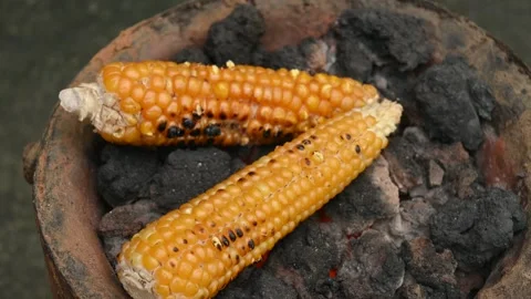 Corn cobs being grilled on a coal stove. Video stock 290312806
