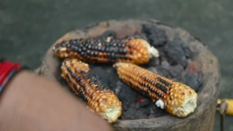 Corn cobs being grilled on a coal stove. Stock Footage 290391239