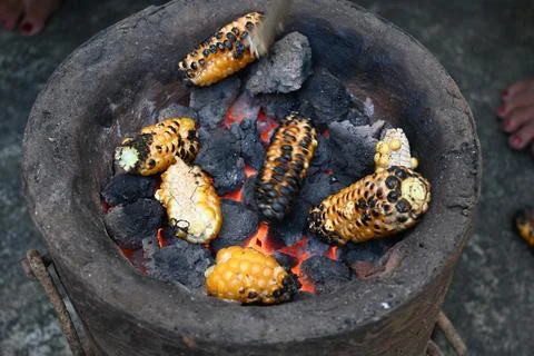 Corn cobs being grilled on a coal stove. Stock Photos