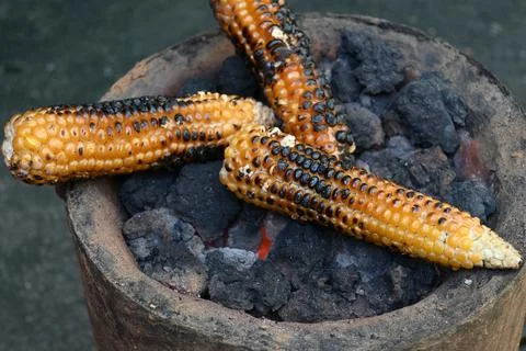 Corn cobs being grilled on a coal stove. Stock Photos