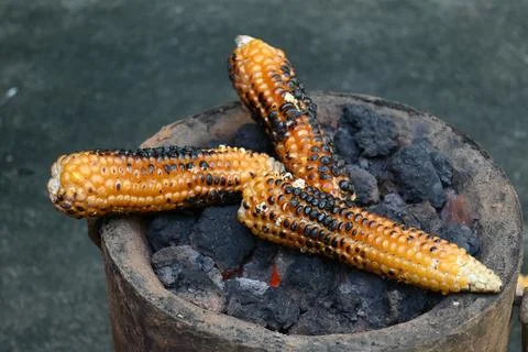Corn cobs being grilled on a coal stove. Stock Photos